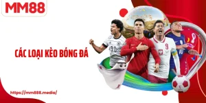 Các Loại Kèo Bóng Đá Cẩm Nang Chi Tiết Cho Người Yêu Thể Thao