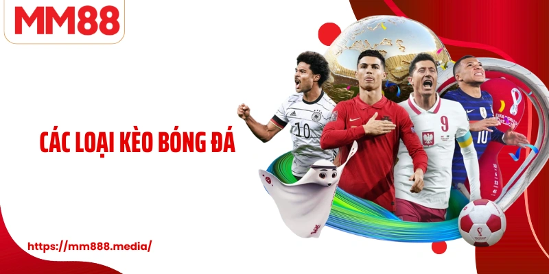 Các Loại Kèo Bóng Đá Cẩm Nang Chi Tiết Cho Người Yêu Thể Thao