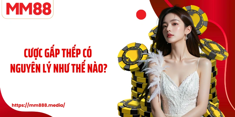 Cược gấp thếp có nguyên lý như thế nào?