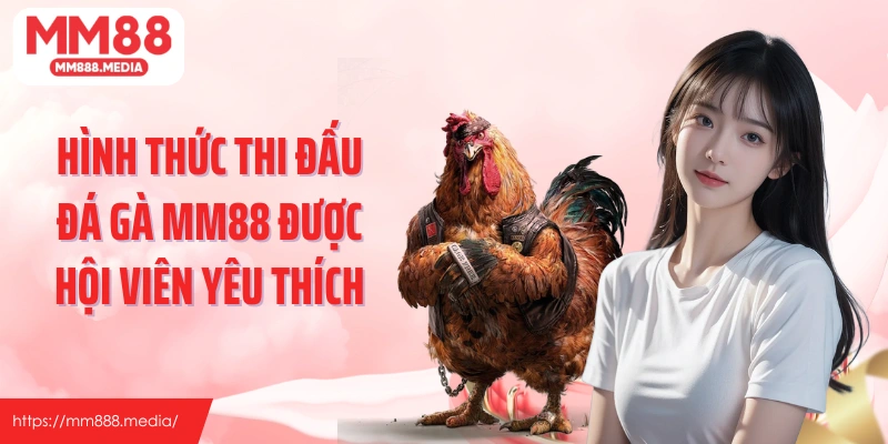 Hình thức thi đấu đá gà MM88 được hội viên yêu thích nhất